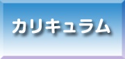 カリキュラム